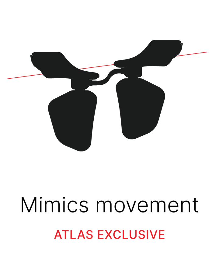 Atlas Brace Mimic feature